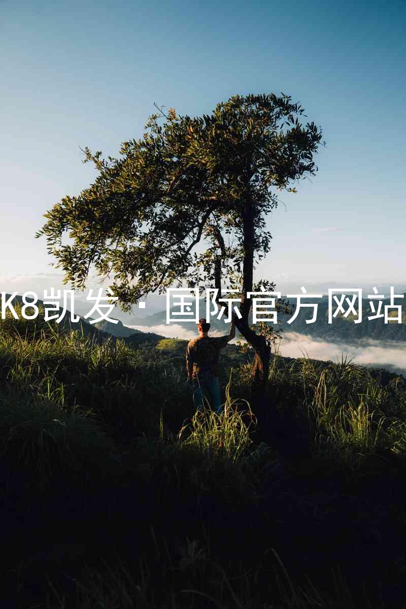K8凯发·国际官方网站