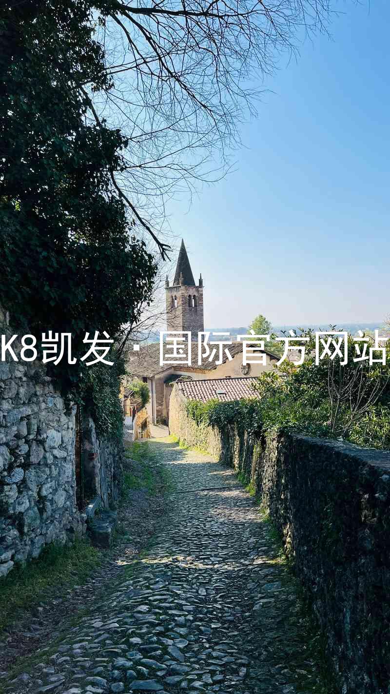 K8凯发·国际官方网站